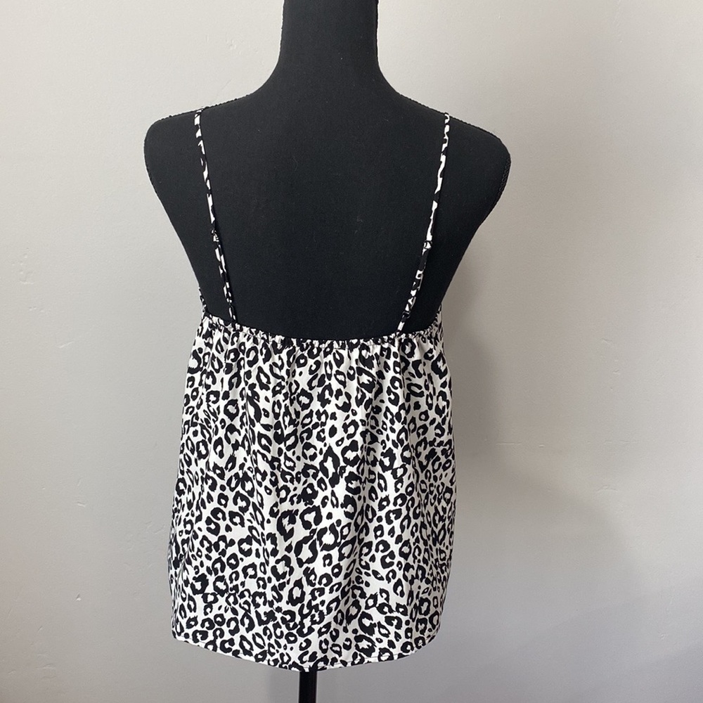 Collective Concepts - Picture 3 of 3